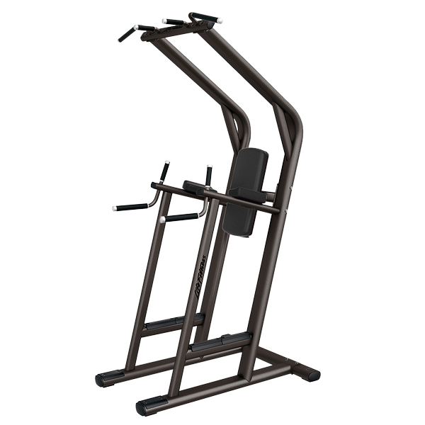 Signature Series ChinDipLeg Raises